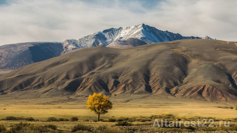 отдых на Алтае